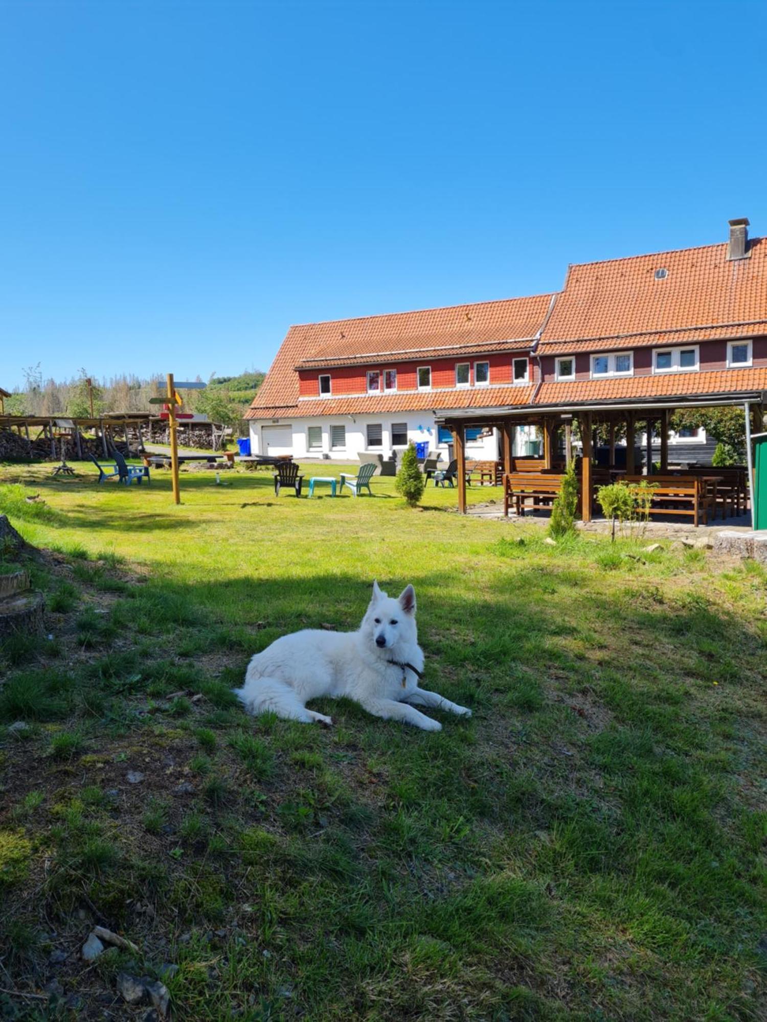 Welt Lodge Altenau  Εξωτερικό φωτογραφία