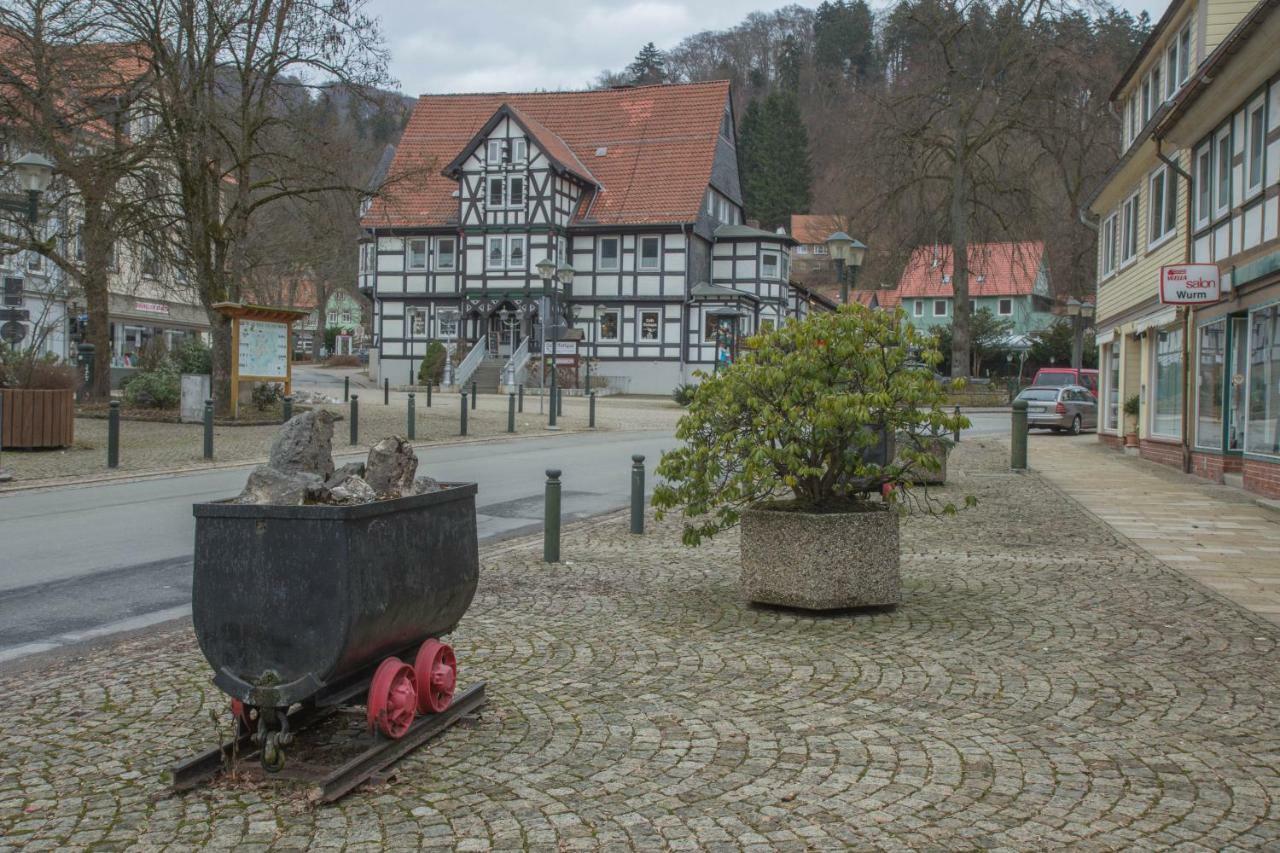 Welt Lodge Altenau  Εξωτερικό φωτογραφία