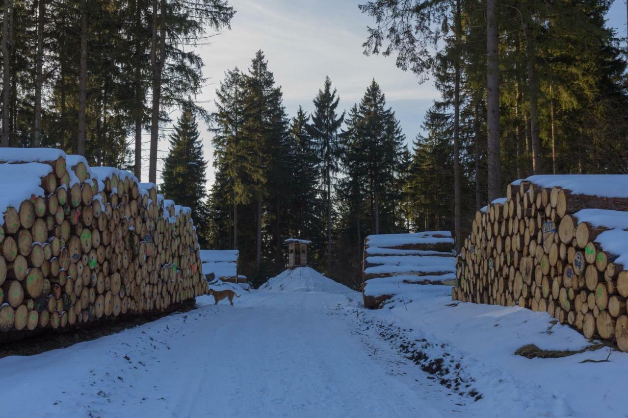 Welt Lodge Altenau  Εξωτερικό φωτογραφία